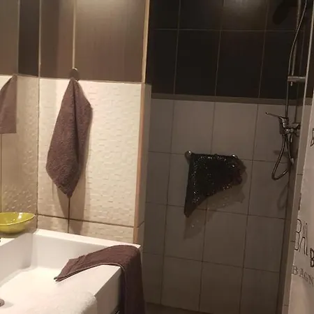 Homestay Double Avec Sdb A Partager Si 2 Eme Louee Brevonnes